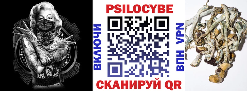 Псилоцибиновые грибы GOLDEN TEACHER  Ленинградская 